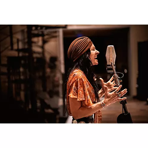 Warm Audio WA-44 Ribbon Microphone With Warm Lifter Active Mic Preamp