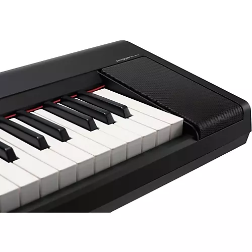 Yamaha Piaggero NP-15 61-Key Portable Keyboard With Power Adapter Black Essentials Package