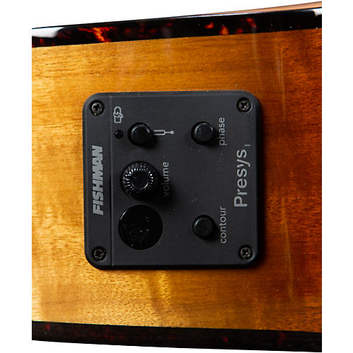 Breedlove Pursuit Exotic S CE Myrtlewood Concert Acoustic-Electric Guitar Bourbon Burst