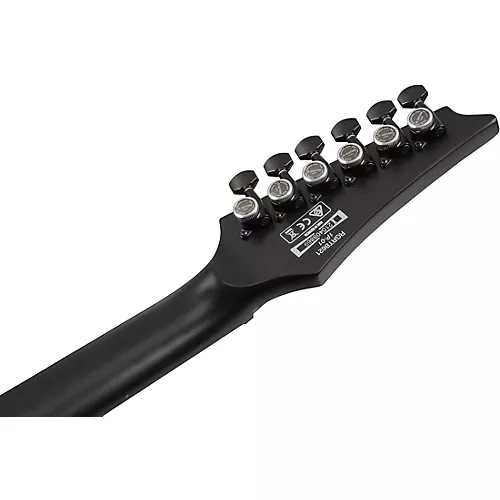 Ibanez RG Iron Label Electric Guitar Black Flat