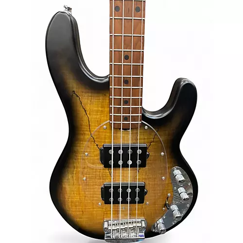 Used Sterling by Music Man Ray34HH Spalted Maple Electric Bass Guitar Spalted Maple