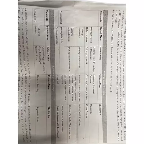 Used 2017 Mayones Regius 7 Buckeye Burl Natural Solid Body Electric Guitar Buckeye Burl Natural