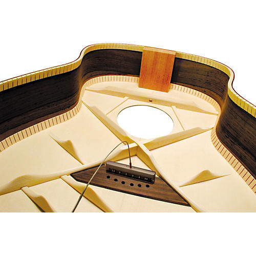 LR Baggs iBeam Active Acoustic Guitar Pickup System
