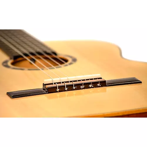 Ortega Family Series R122G Full-Size Classical Guitar Gloss Natural 4/4