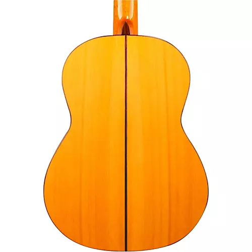 Cordoba F10 Nylon String Acoustic Guitar Natural