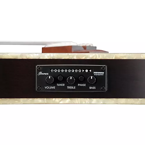 Ibanez TOD10N Tim Henson Signature Nylon Acoustic-Electric Guitar Black Flat