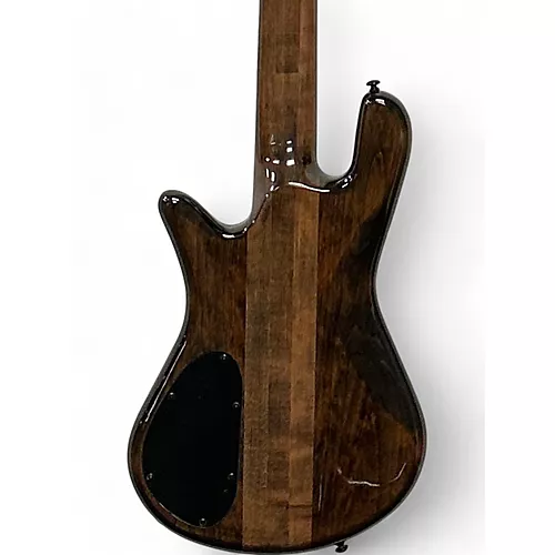 Used Spector NS ethos 5 poplar burl W221200 Electric Bass Guitar W221200