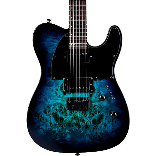 ESP LTD TE-200DX Electric Guitar Purple Burst