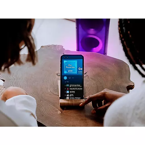 Gemini GLS-550 Dual 6.5