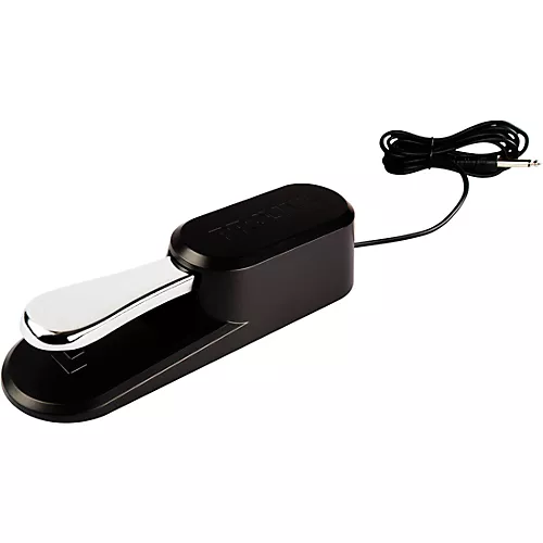 KORG Pa5X 88-Key Arranger With Stand and Pedal
