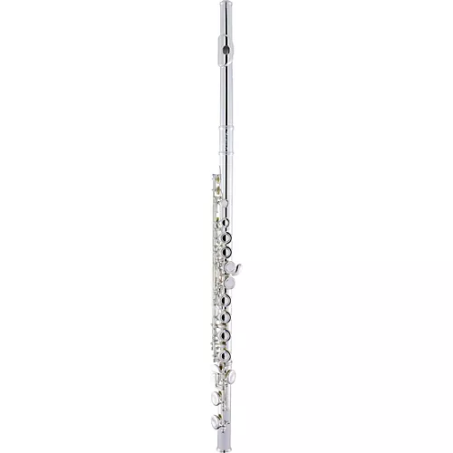 Armstrong AFL201 Closed-Hole Student Flute Offset G C-Foot