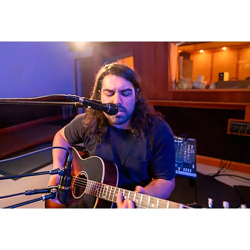 Audix OMX-M Dynamic Microphone Black