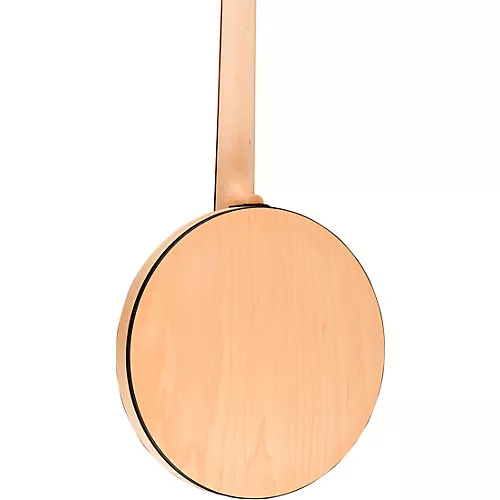 Deering Goodtime 6-String Acoustic-Electric Resonator Banjo