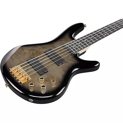 Ibanez GSR205PC 5-String Electric Bass Guitar Transparent Pale Black Burst
