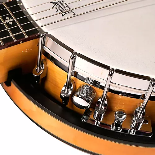Gold Tone GT-500 Banjo