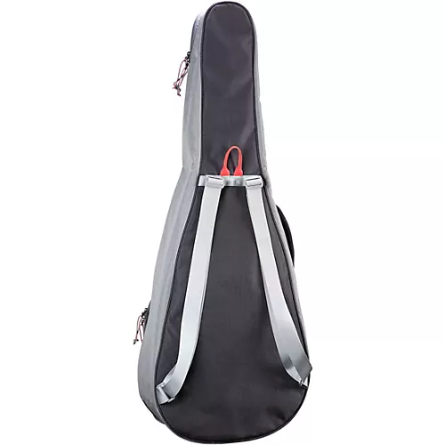 Breedlove Concerto 34