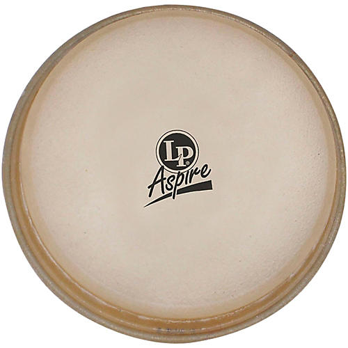 LP 11