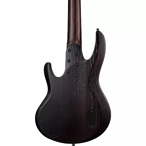 ESP LTD B-1005 Multi-Scale 5-string Bass Natural Satin