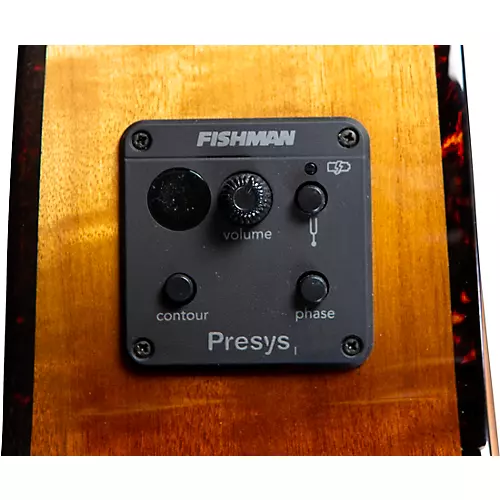 Breedlove Pursuit Exotic S CE Fretless Concerto Acoustic-Electric Bass Amber Burst