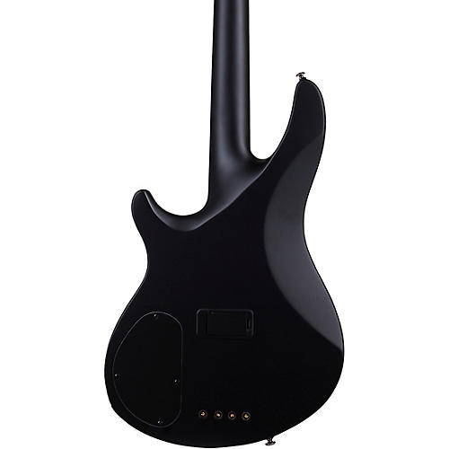 Schecter Guitar Research MVP C-4 Bass Black Reign