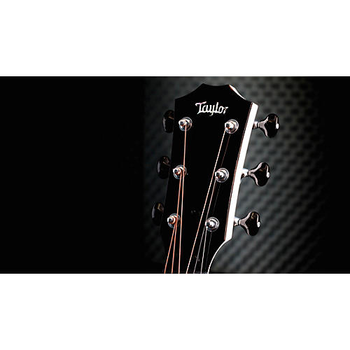 Taylor Custom Torrefied Sitka Spruce-Neo-Tropical Mahogany Grand Pacific Acoustic-Electric Guitar Pearl White