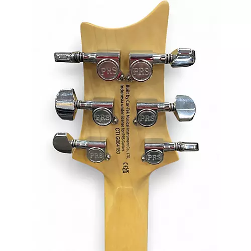 Used PRS SE SWAMP ASH SPECIAL IRI BLUE Solid Body Electric Guitar IRI BLUE