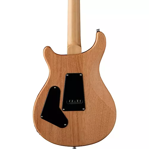 PRS SE Exotic Custom 24 Swamp Ash Burl Electric Guitar Lake Blue