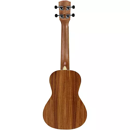 Alvarez RU90CP Regent Concert Ukulele Pack Natural