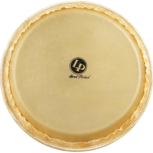 LP Galaxy Rawhide Quinto Head 11 in.