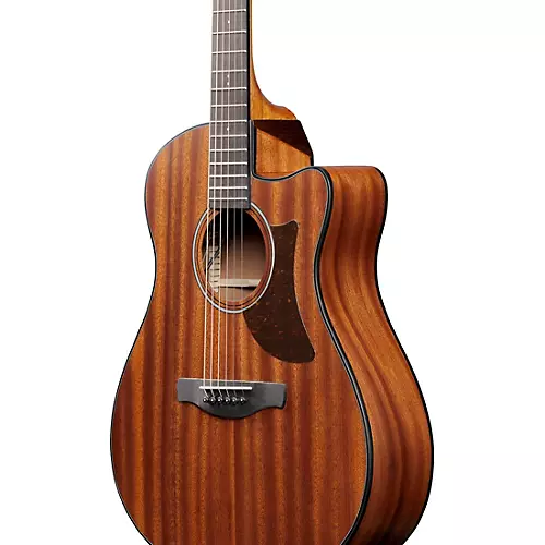 Ibanez AAM54CE Advanced Auditorium Acoustic-Electric Guitar Natural