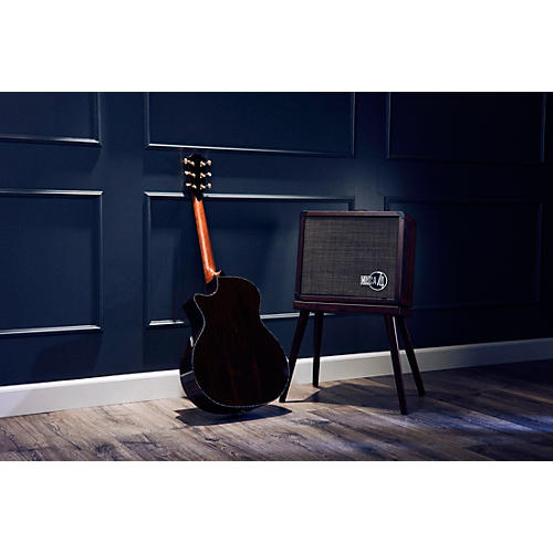 Taylor PS14c Brazilian Rosewood 50th Anniversary Limited-Edition Grand Auditorium Acoustic-Electric Guitar with matching Circa 74 Amp Honey Sunburst