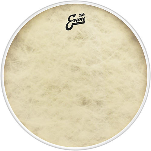 EVANS EQ4 Calftone Bass Drum Head 20 in.