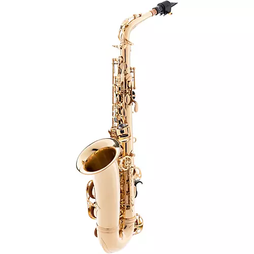 P. Mauriat PMSA-57GC Intermediate Alto Saxophone Jazz Package