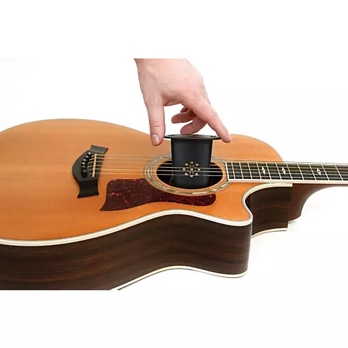 D'Addario Acoustic Guitar Humidifier