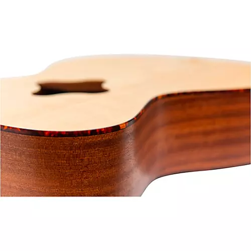 WalkaBout Odyssey Drum