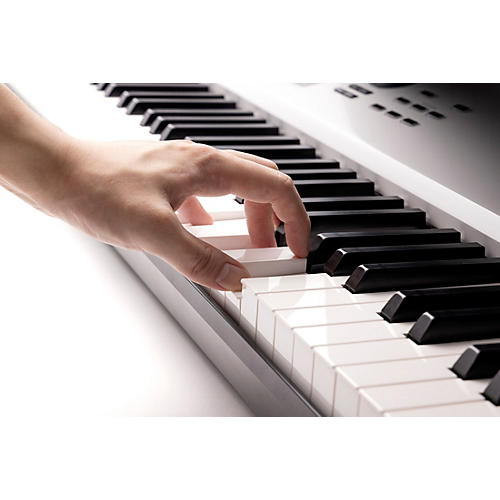 KORG NAUTILUS AT Music Workstation, Limited-Edition Gray 88 Key