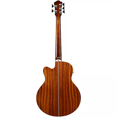 Ibanez AEB105E 5-String Acoustic-Electric Bass Guitar Gloss Natural