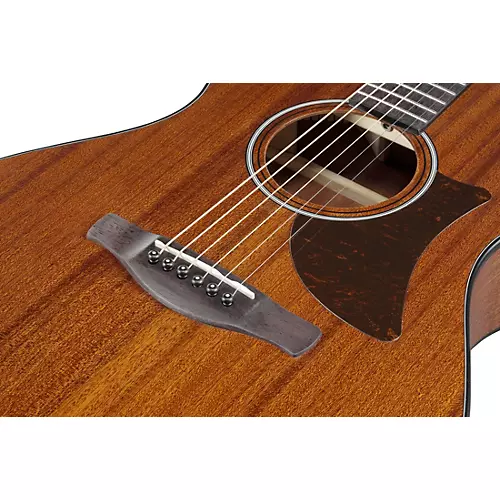 Ibanez AAM54 Advanced Auditorium Acoustic Guitar Natural