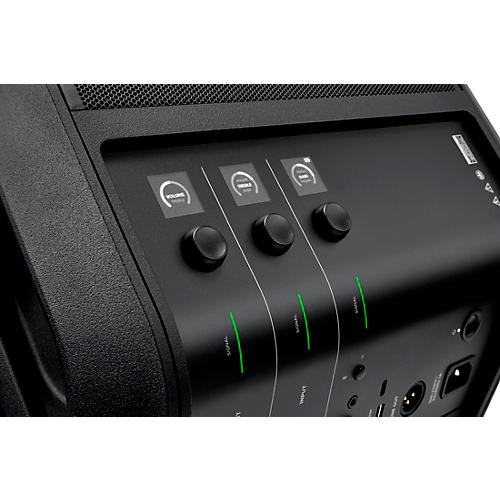 Bose S1 Pro+ Wireless PA System (Pair)