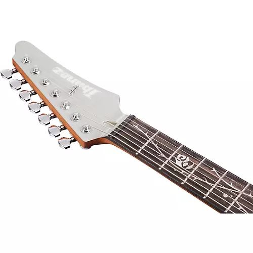 Ibanez Tim Henson Signature 7-String Electric Guitar