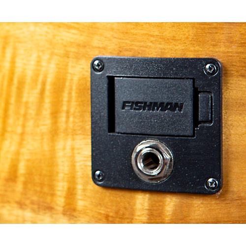 Breedlove Pursuit Exotic S CE Myrtlewood Concert Acoustic-Electric Guitar Bourbon Burst