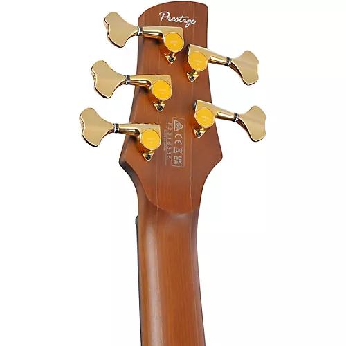 Ibanez Prestige SR5505 5-String Electric Bass Guitar Mocha Flat