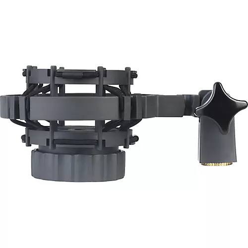 AKG C 3000 Recording Microphone