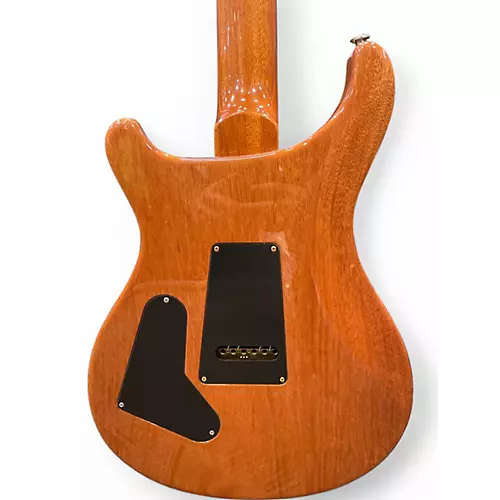 Used PRS Custom 24 ANGRY LARRY Solid Body Electric Guitar ANGRY LARRY