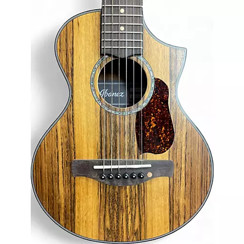 Used Ibanez EWP14 Mahogany Acoustic Guitar Mahogany