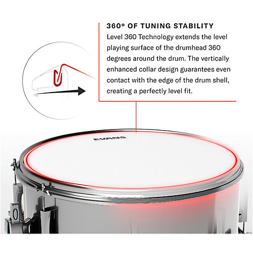 EVANS Yellow Submarine Primrose Prairie Bass Drumhead 20 in.