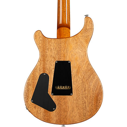 PRS Special Semi-Hollow Electric Guitar Yellow Tiger