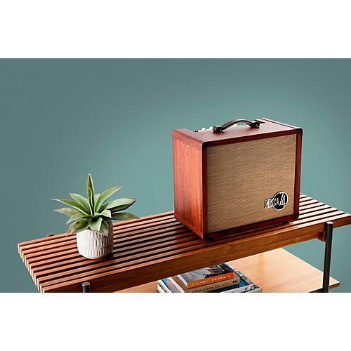 Circa 74 AV150-10 Acoustic Guitar and Vocal Amplifier With Amp Stand Mahogany