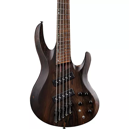 ESP LTD B-1005 Multi-Scale 5-string Bass Natural Satin
