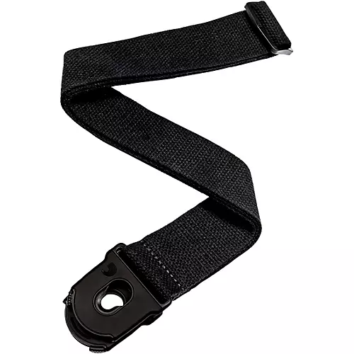 D'Addario 2